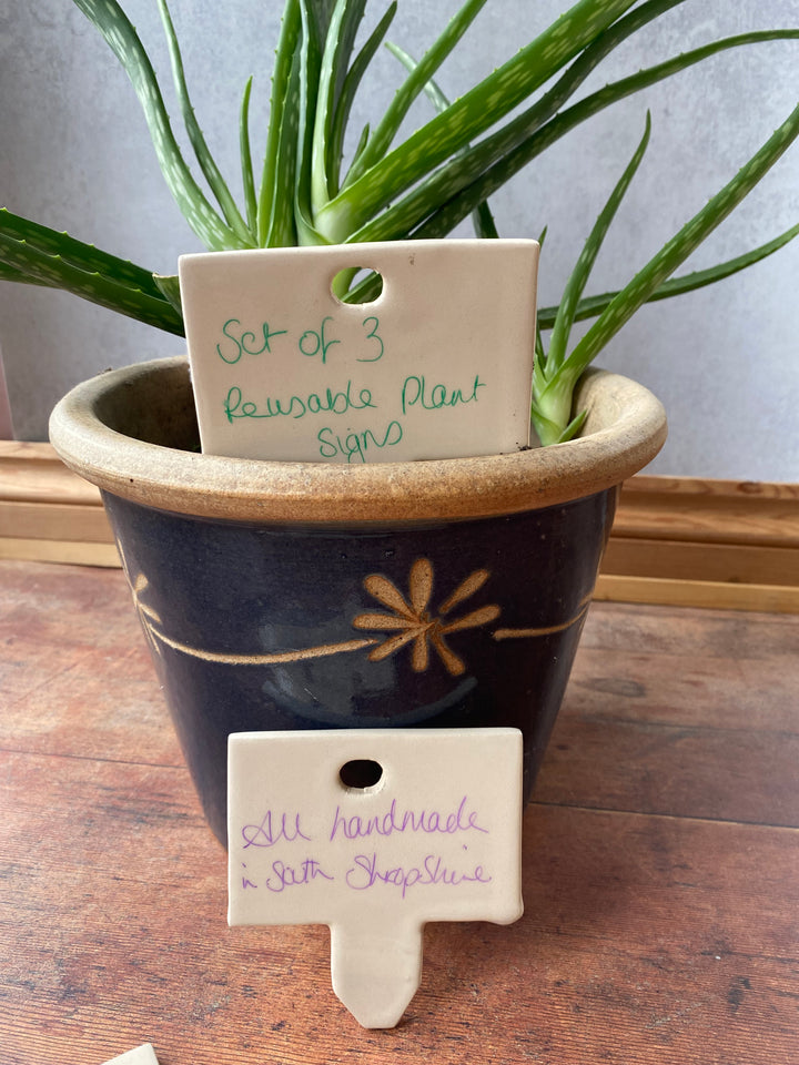 Handwritten care instructions on a 9cm wide white glazed ceramic plant label