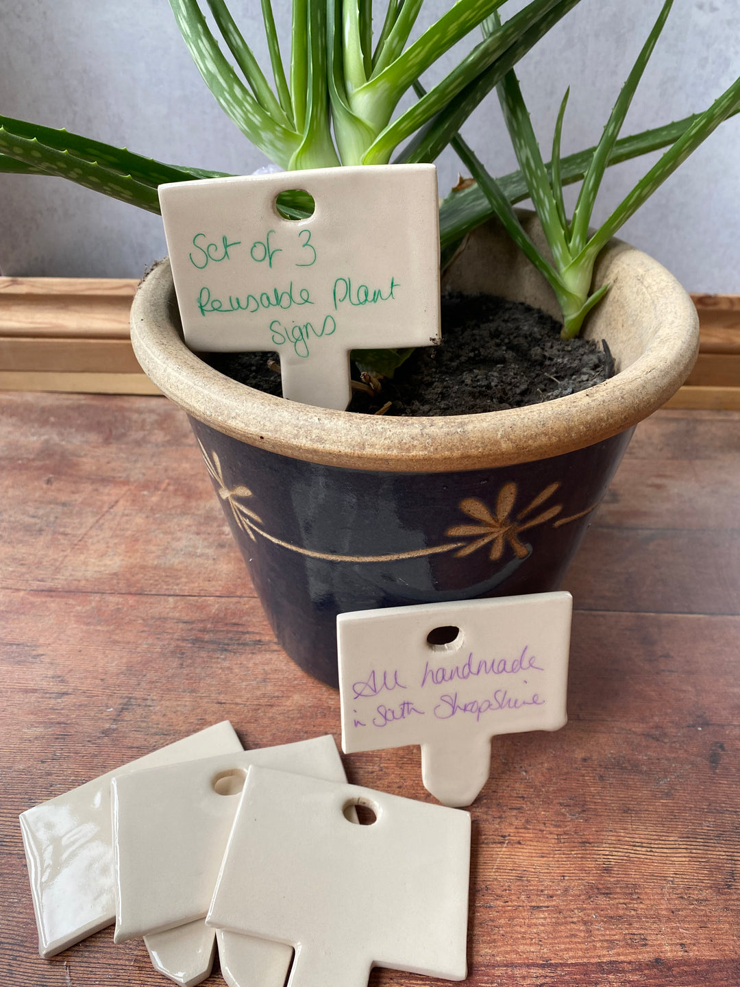 Handwritten care instructions on a 9cm wide white glazed ceramic plant label
