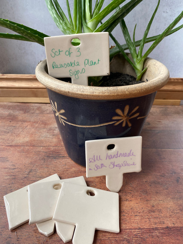 Handwritten care instructions on a 9cm wide white glazed ceramic plant label